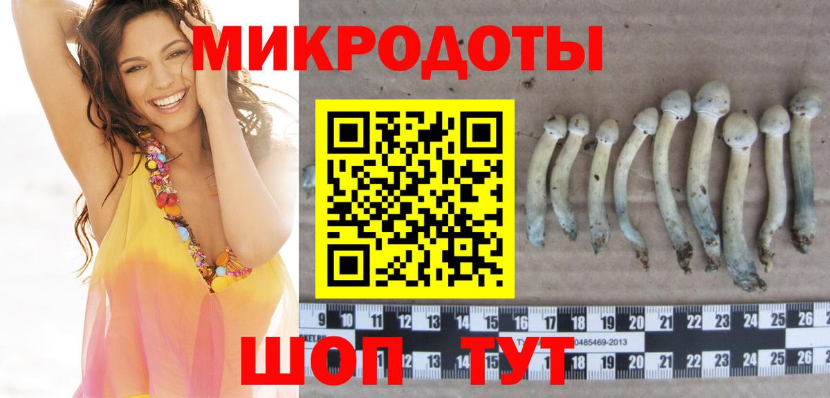 Галлюциногенные грибы GOLDEN TEACHER Псков