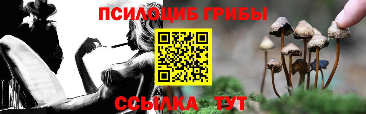 Псилоцибиновые грибы MAGIC MUSHROOMS  Псилоцибиновые грибы мицелий  Вход с VPN  как найти закладки  Псков 